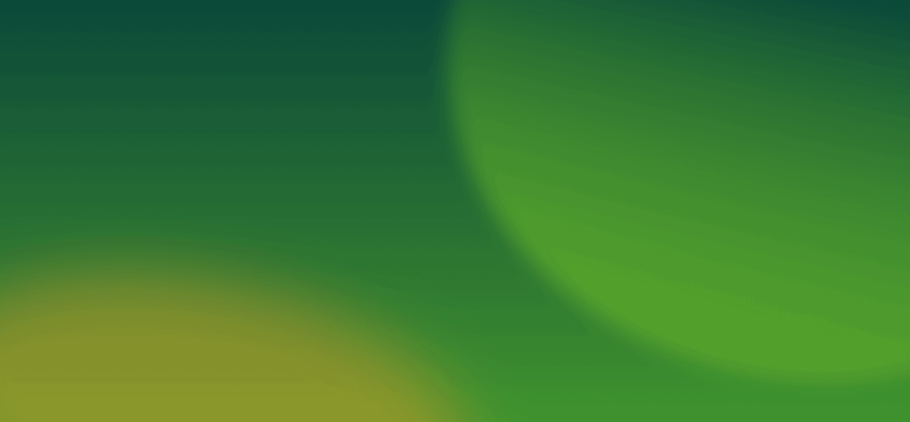Ningbo Jelley Brown International trade Co.,Ltd