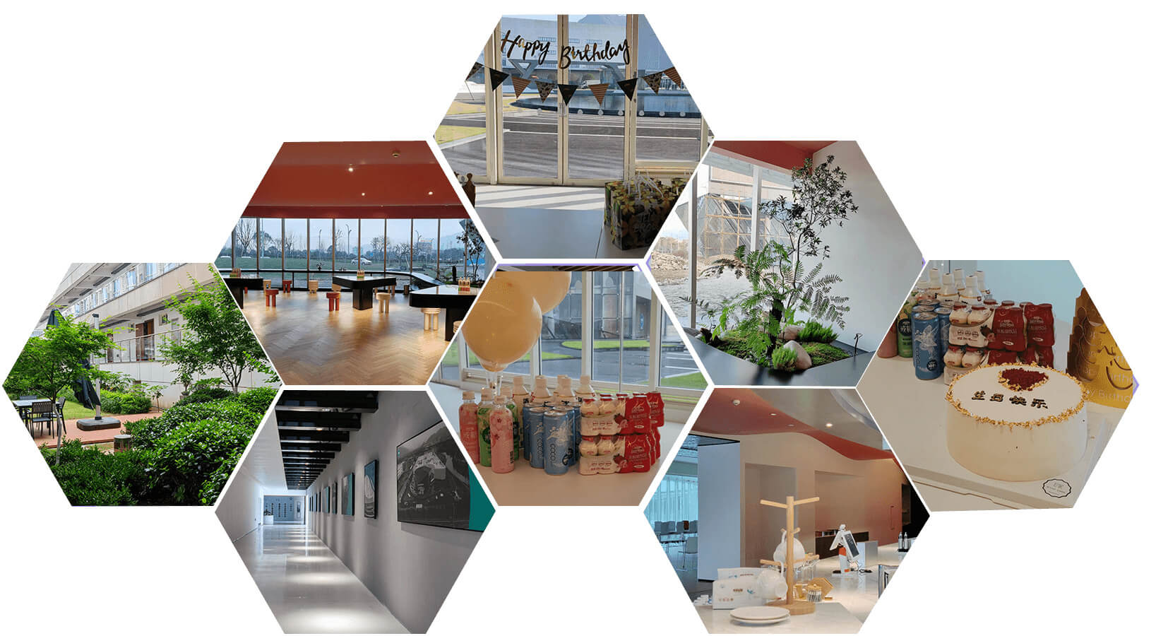 Ningbo Jelley Brown International trade Co.,Ltd