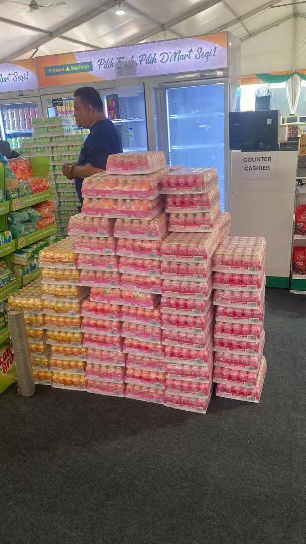 Viloe little monster version launched in Malaysia
